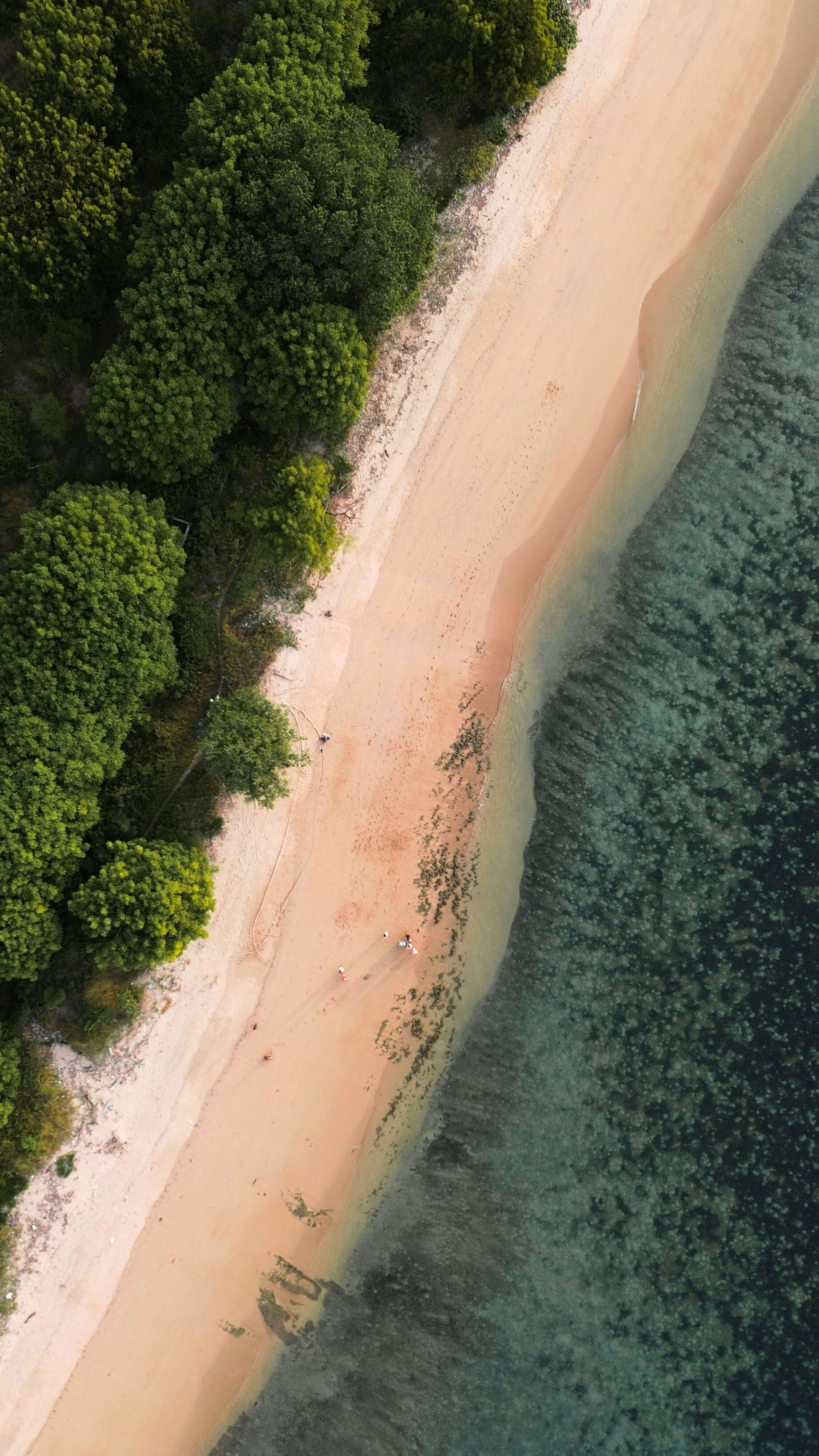 Lombok